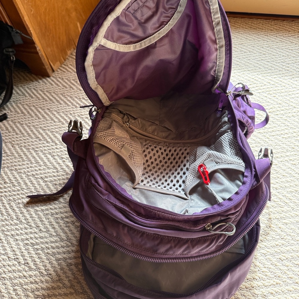 Osprey Purple Laptop Backpack - Picture 6 of 7